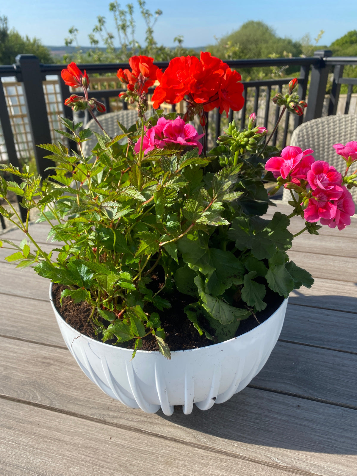 Mira Bowl Pot, Insert and Hole With Plug 240mm White