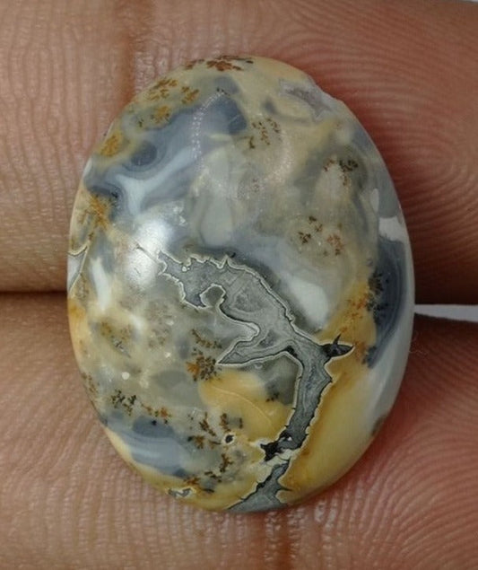 16.1ct Jasper - Maligano Jasper Cabochon - Jasper Maligano- 23x18mm