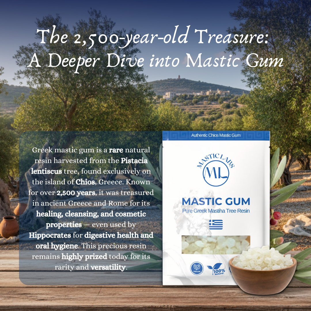 Pure Greek Chios Mastic Gum (Pistacia Lentiscus) - Normal/Small Size Tears