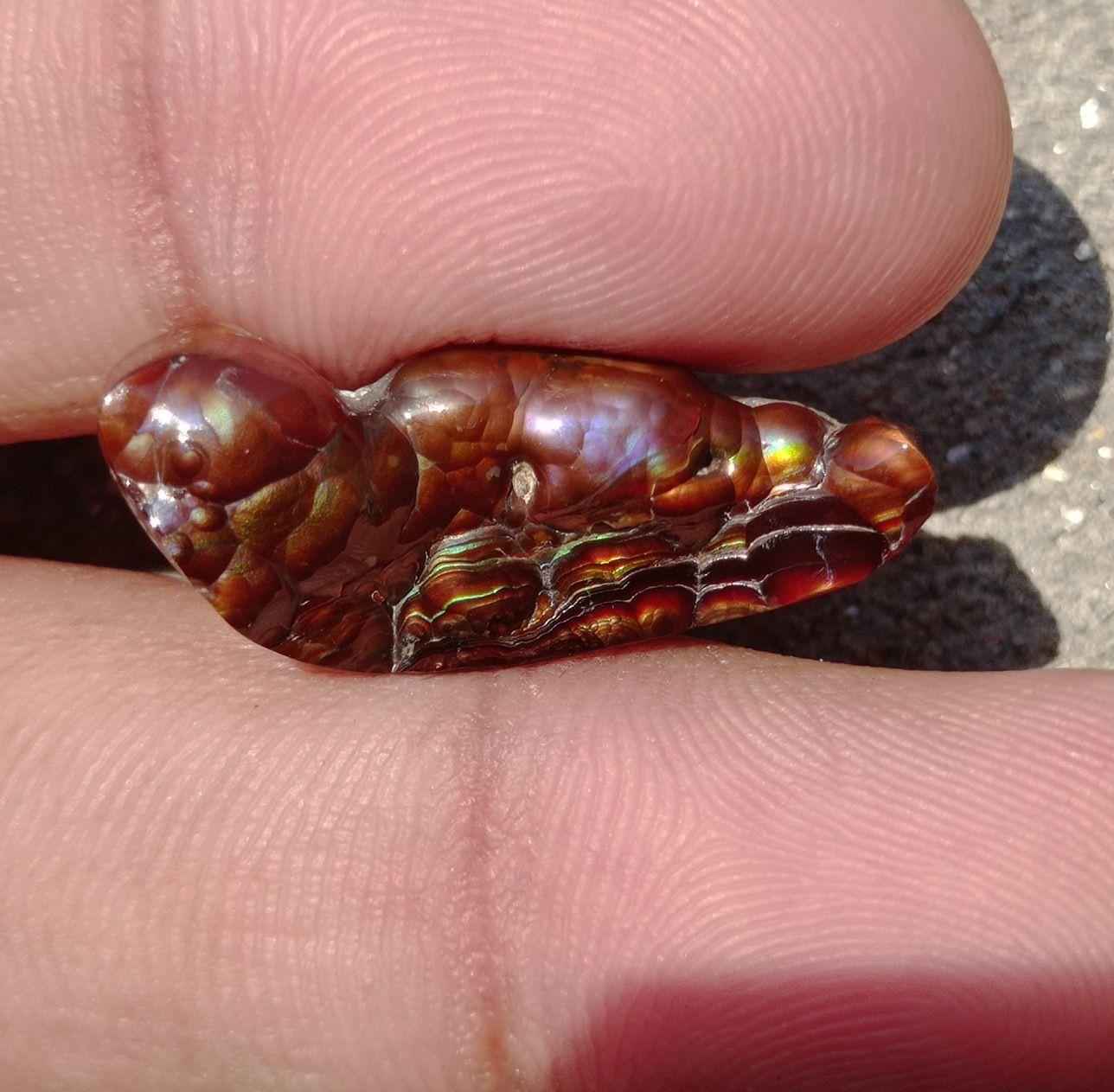 14.7ct Best Color Combination Fire Agate , Polished Fire Agate, Rare Fire agate - Fire Agate For Pendant - Dimensions-  28x11mm