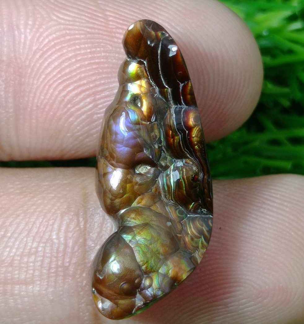 14.7ct Best Color Combination Fire Agate , Polished Fire Agate, Rare Fire agate - Fire Agate For Pendant - Dimensions-  28x11mm