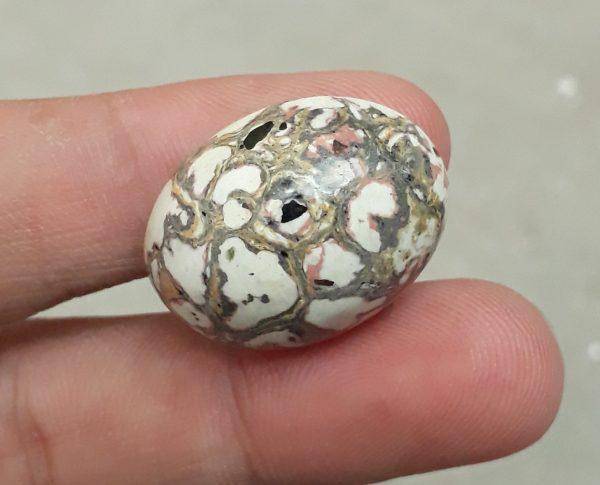 33.4ct Jasper - White Jasper Cabochon - 26x20mm