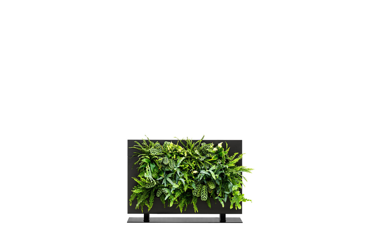 Living Wall Divider - 81cm - Black
