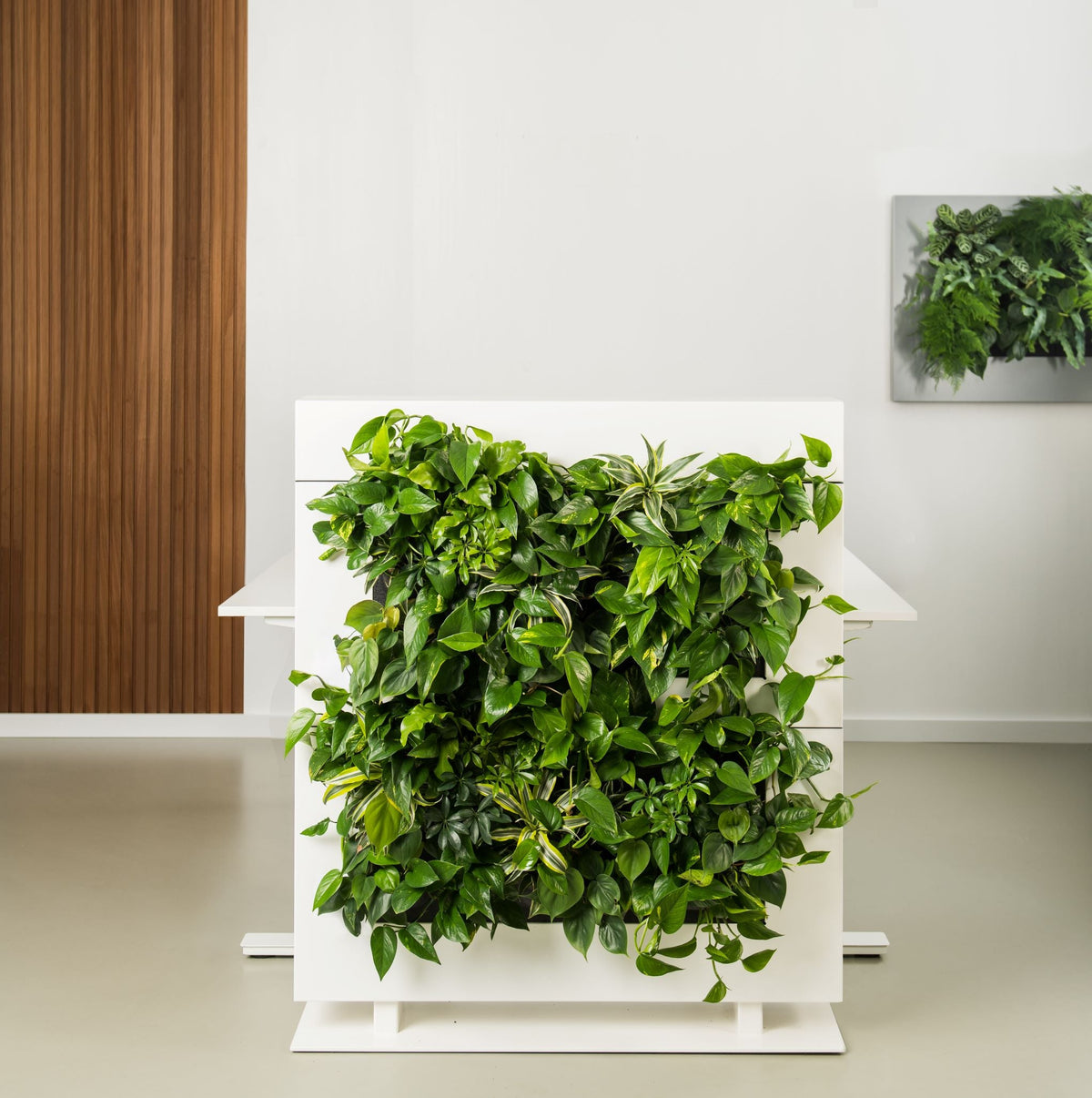 Living Wall Divider - 131cm - White