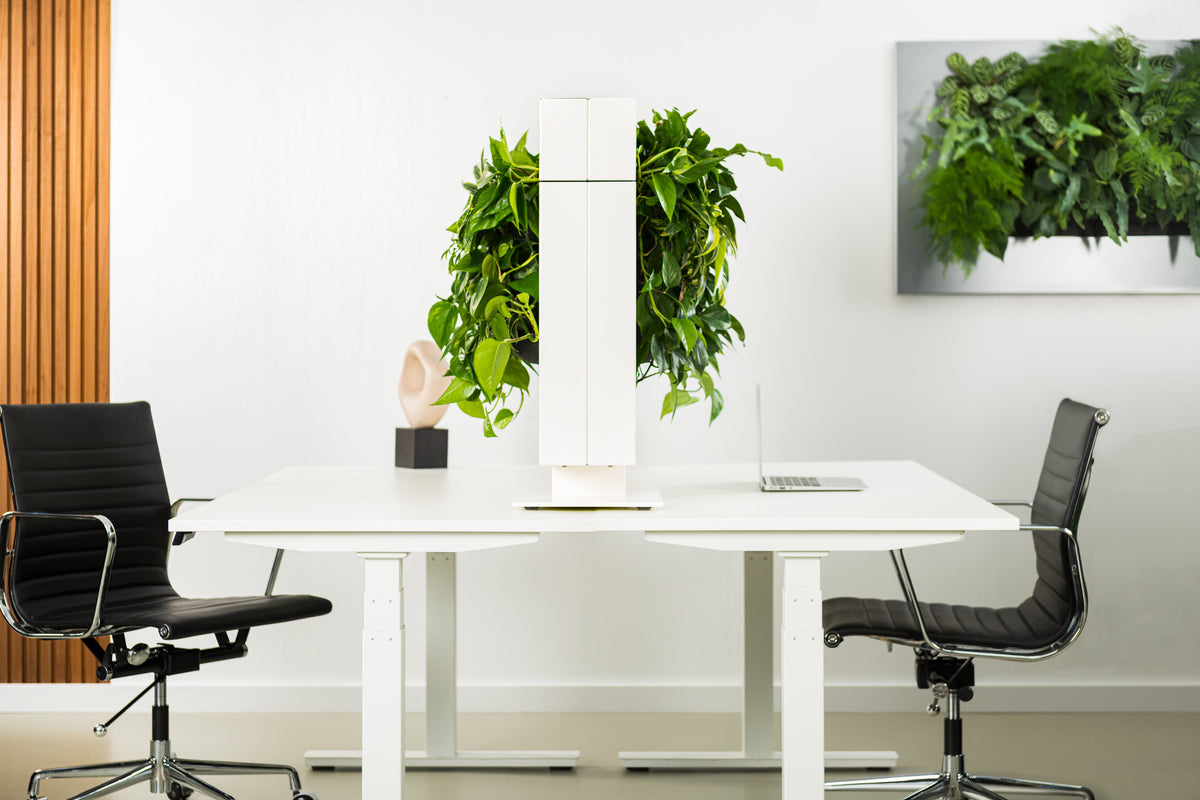 Living Wall Divider - 180.5cm - White
