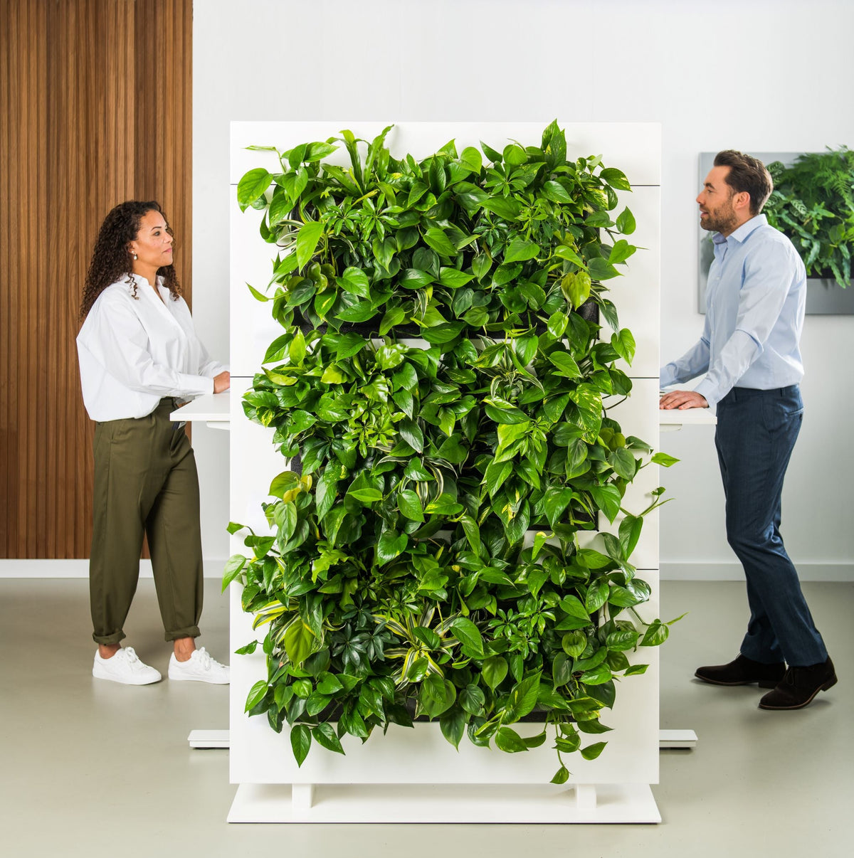 Living Wall Divider - 81cm - White