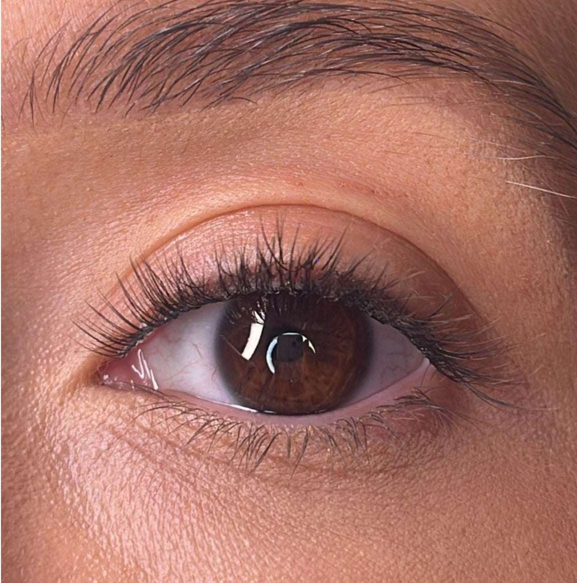 Morina Pre Styled Lash Ribbons®