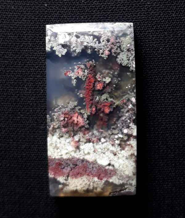 29.9ct Moss Agate - White Moss Agate - 28.7x15x6.5mm