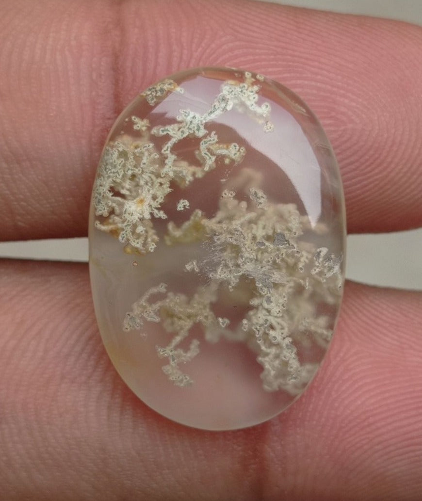 19.35ct Very Unique Pattern of Moss Agate Oval Cabochon - Transparent Moss Agate - 25x18x5mm