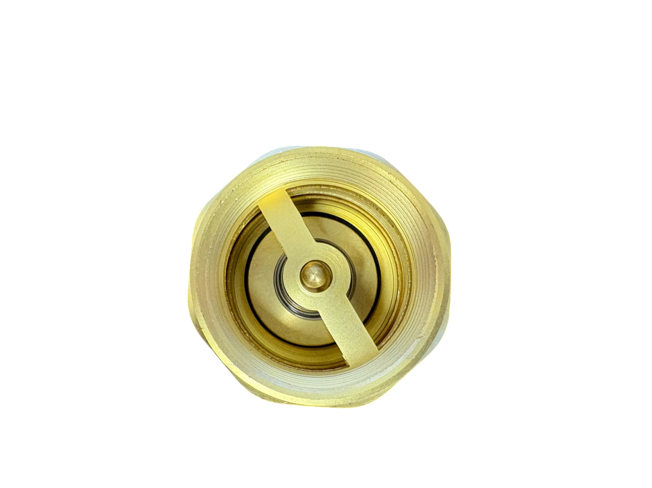 Brass Spring Check Valve 1.25" BSPF