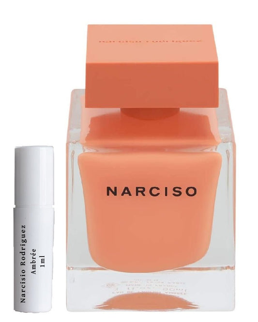 Narciso Rodriguez Ambrée perfume samples