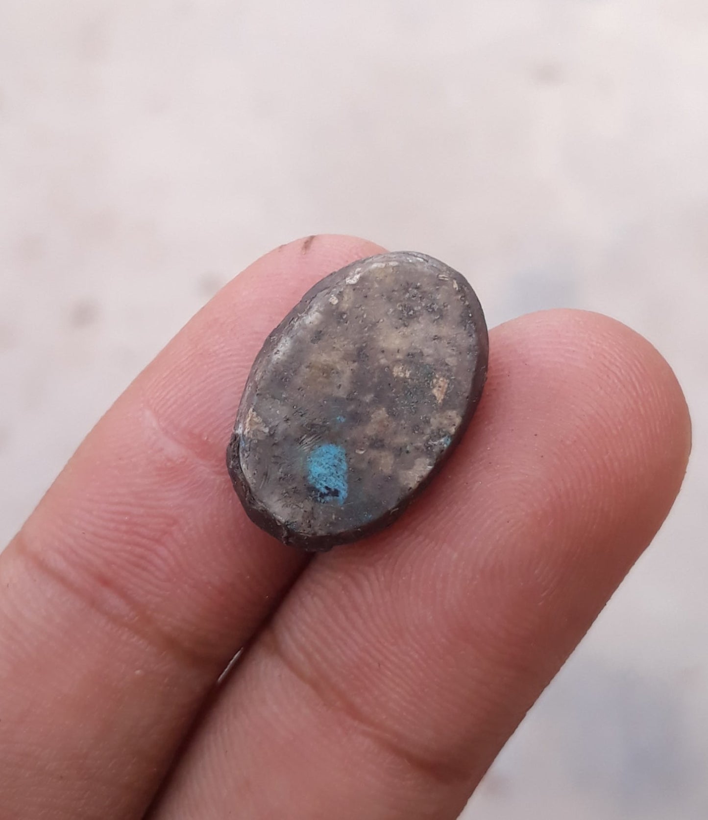 13ct  Turquoise with Pyrite - Shajri Feroza - 19x13mm