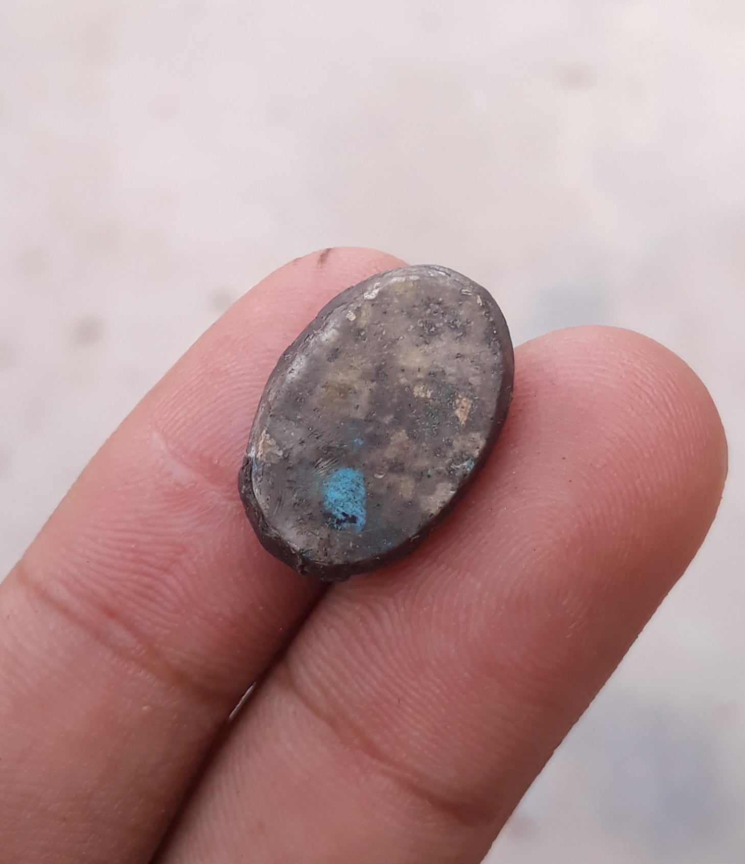 13ct  Turquoise with Pyrite - Shajri Feroza - 19x13mm
