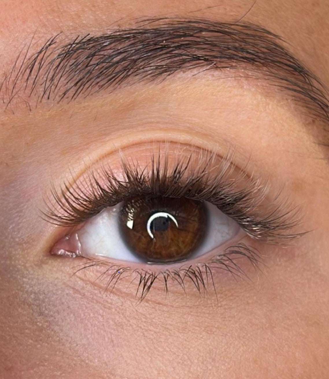 Niamh - 3D 'D' Curl Brown Lash Ribbons®