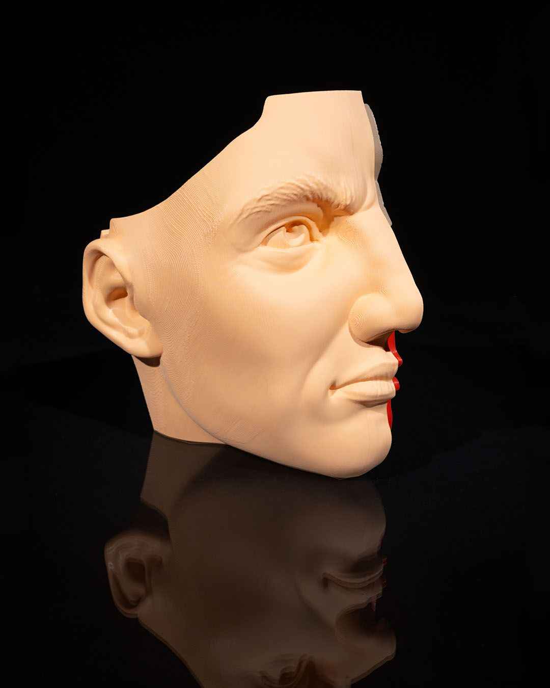 Nose & Sinus educational model