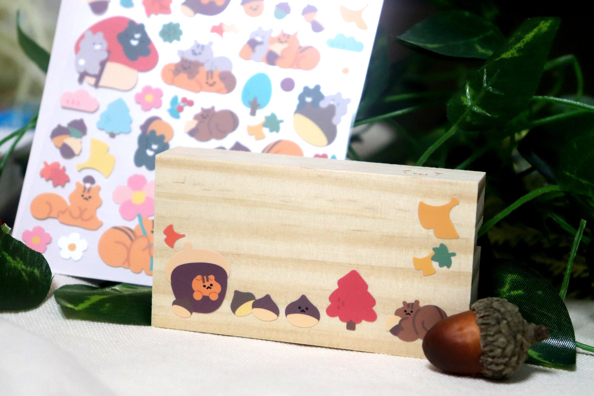 Bonito | Autumn Trip