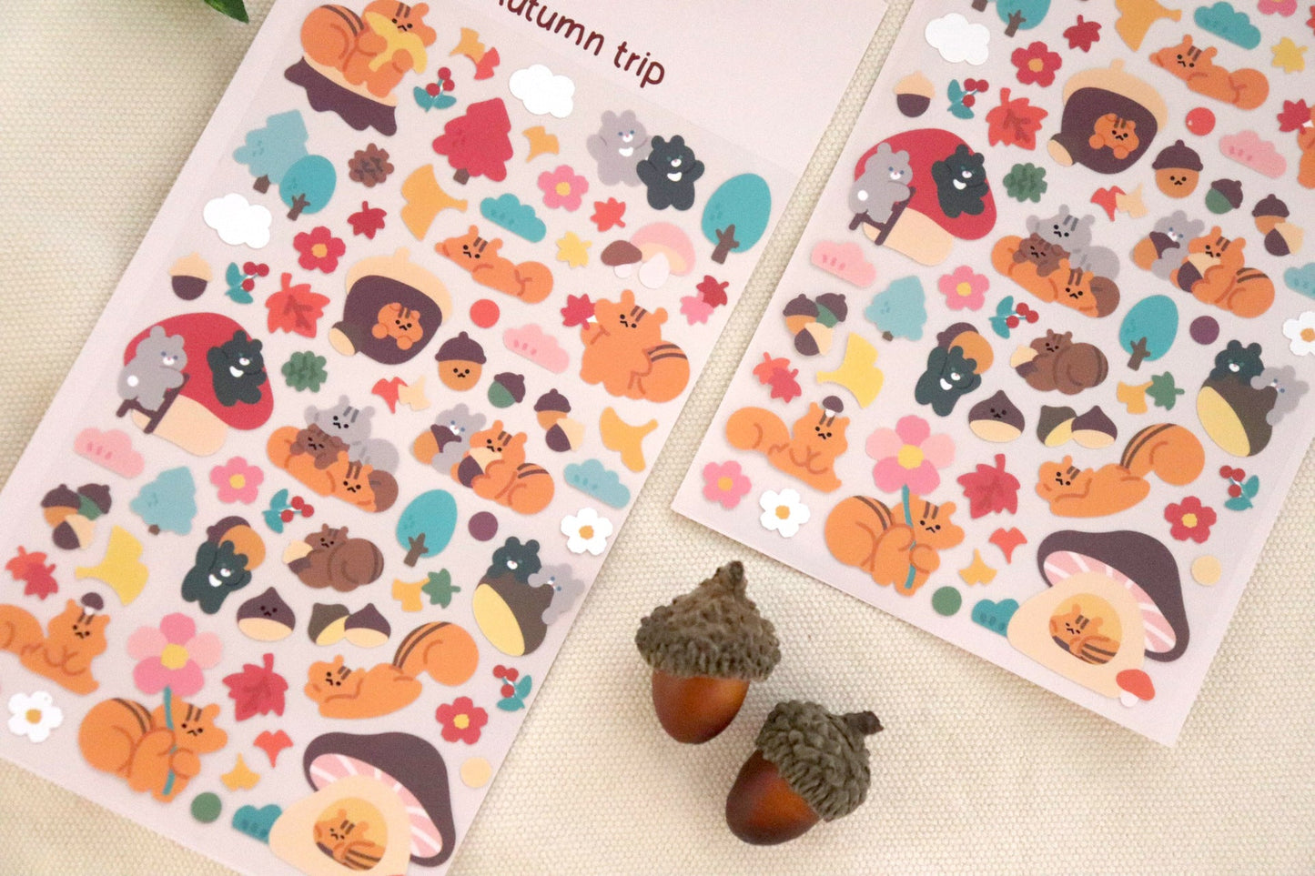 Bonito | Autumn Trip