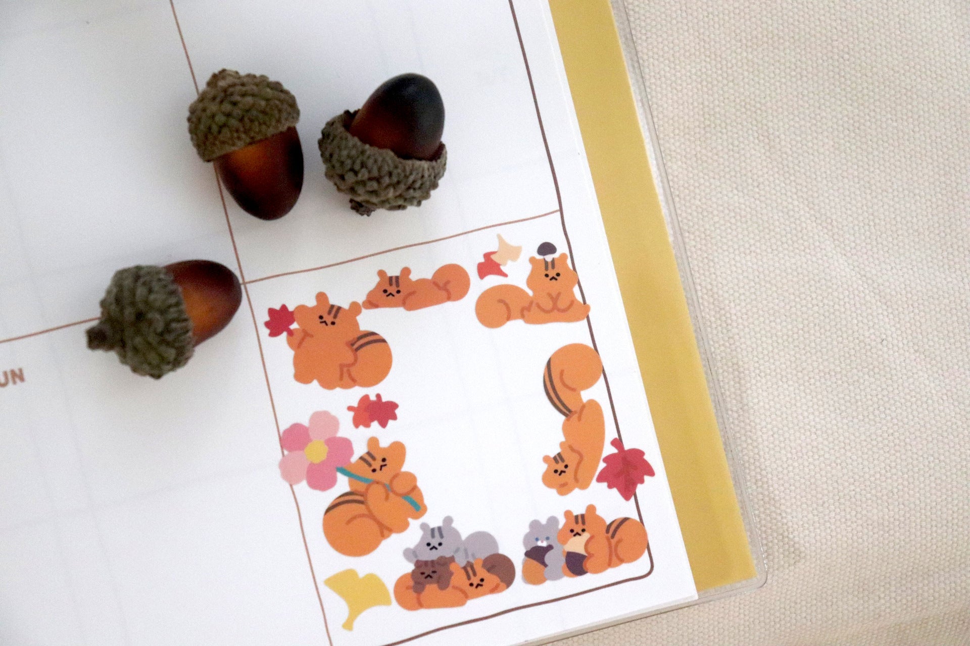 Bonito | Autumn Trip