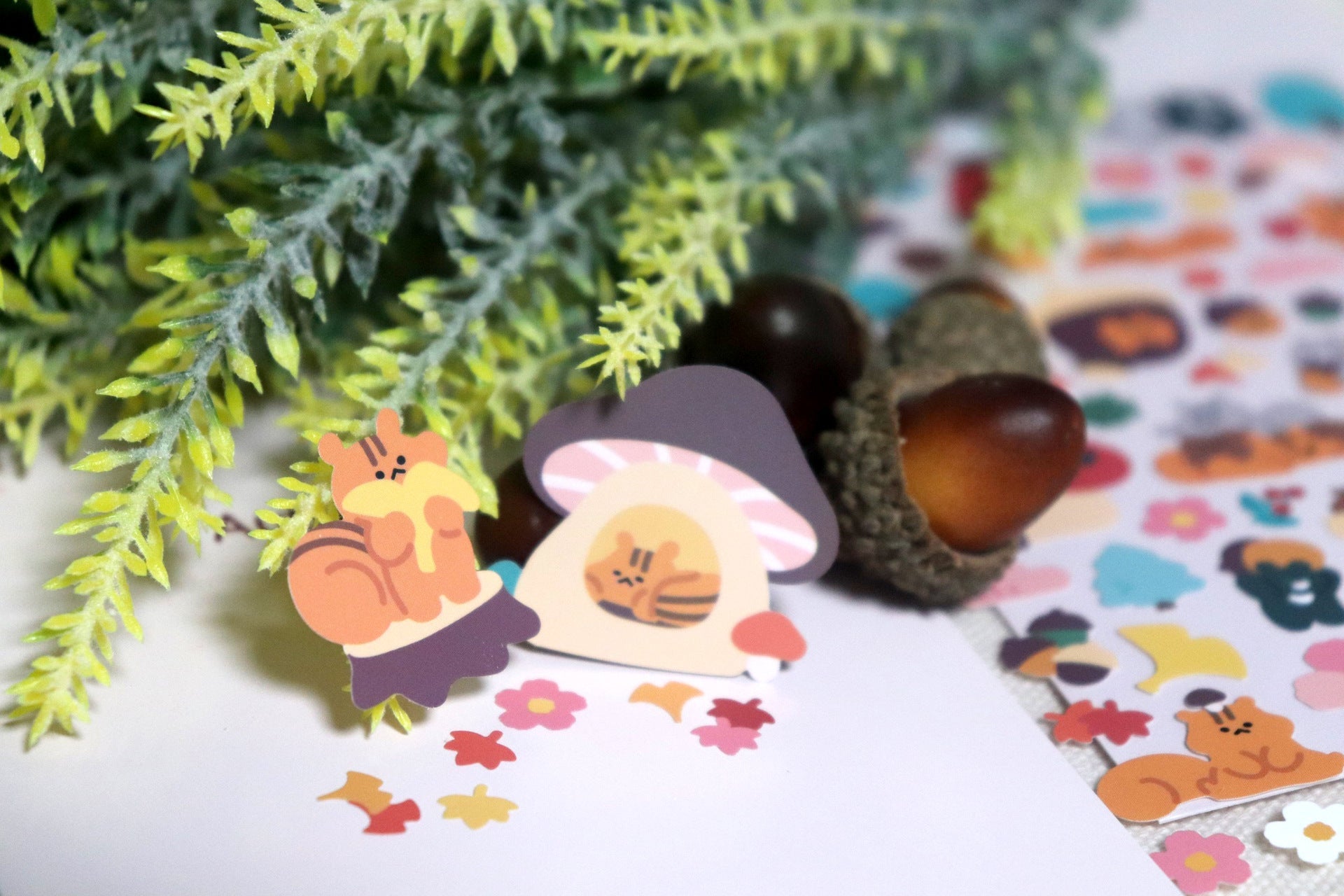 Bonito | Autumn Trip