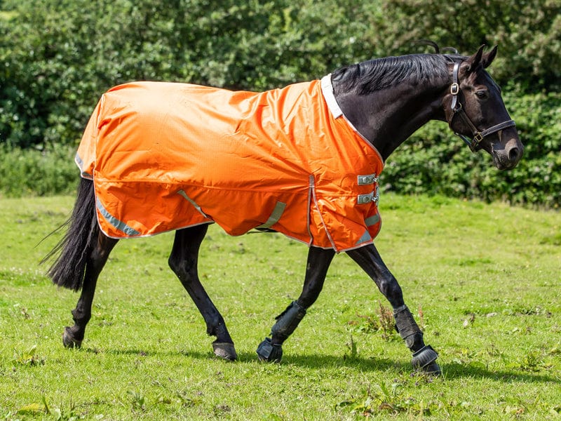 200G Detachable Neck Turnout Rug - Orange