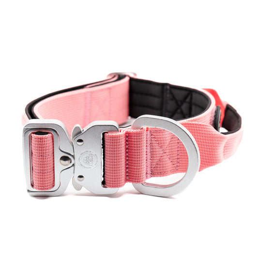 4cm Nylon BTactical™ Collar | Pretty Pink