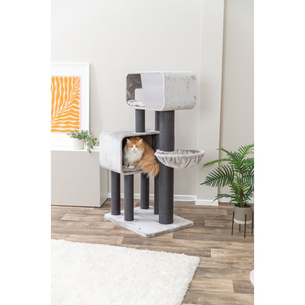 Trixie Cat Tree XXL Rafael – 156 cm, grey