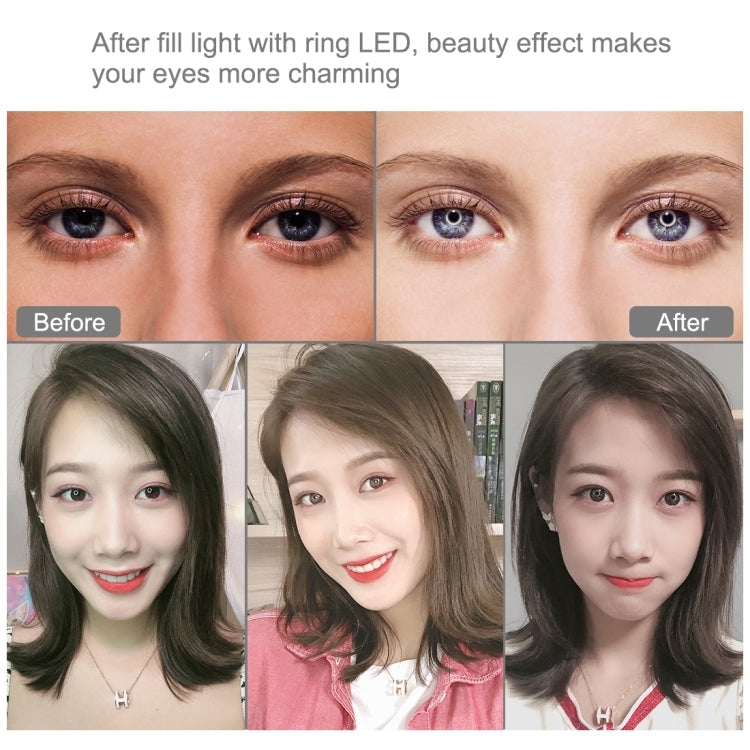 PULUZ 10.2 inch 26cm Light + Desktop Tripod Mount USB 3 Modes Dimmable Dual Color Temperature LED Curved Diffuse Light Ring Vlogging Selfie Photography Video Lights with Phone Clamp, 10.2 inch Curved+Tripod