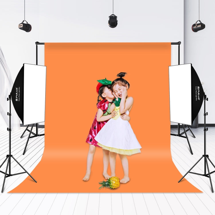 PULUZ Softbox Lighting Kit 2 PCS 50x70cm Professional Photo Studio Photography Light Equipment with 2 x 220V E27 Socket Bulb Photography Lighting Kit, 2 PCS Single Bulb EU Plug, 2 PCS Single Bulb US Plug