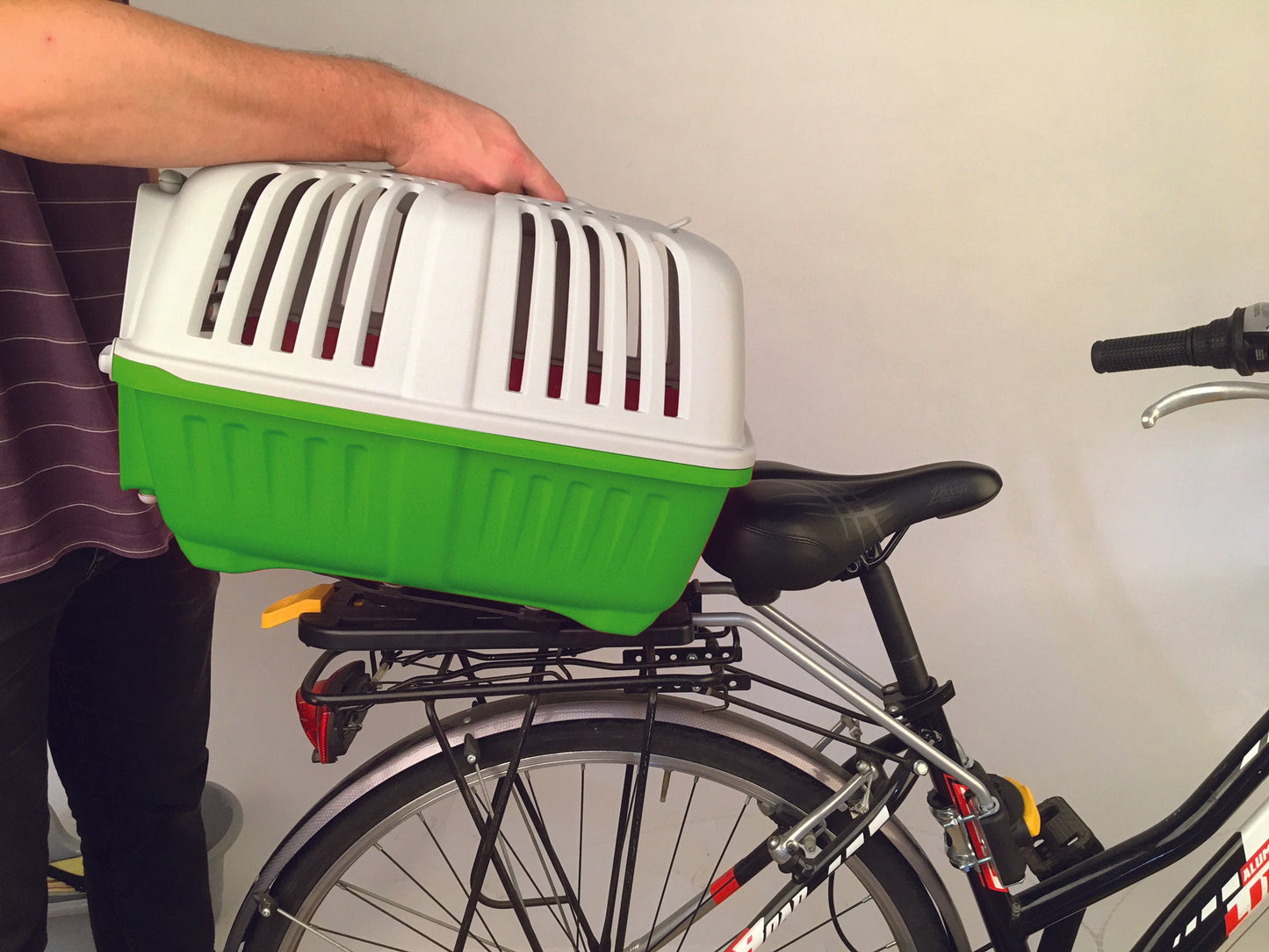 Bellelli Peggy - Pet Box