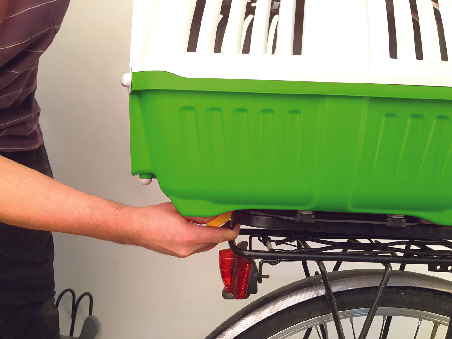 Bellelli Peggy - Pet Box