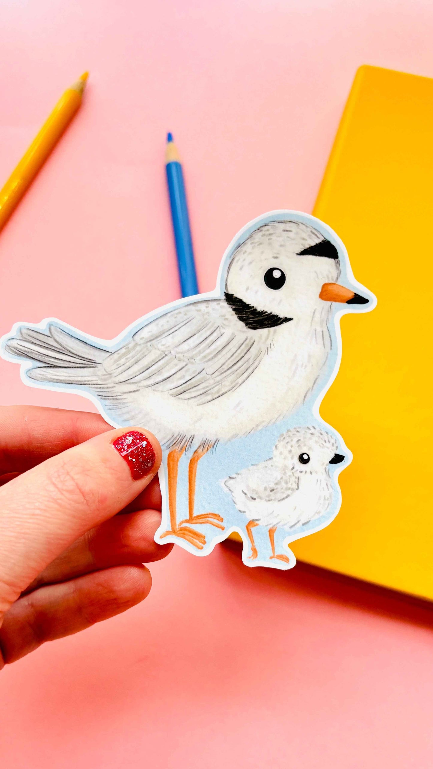Birbfest 2025 Illustrated Birds 10cm Vinyl Sticker