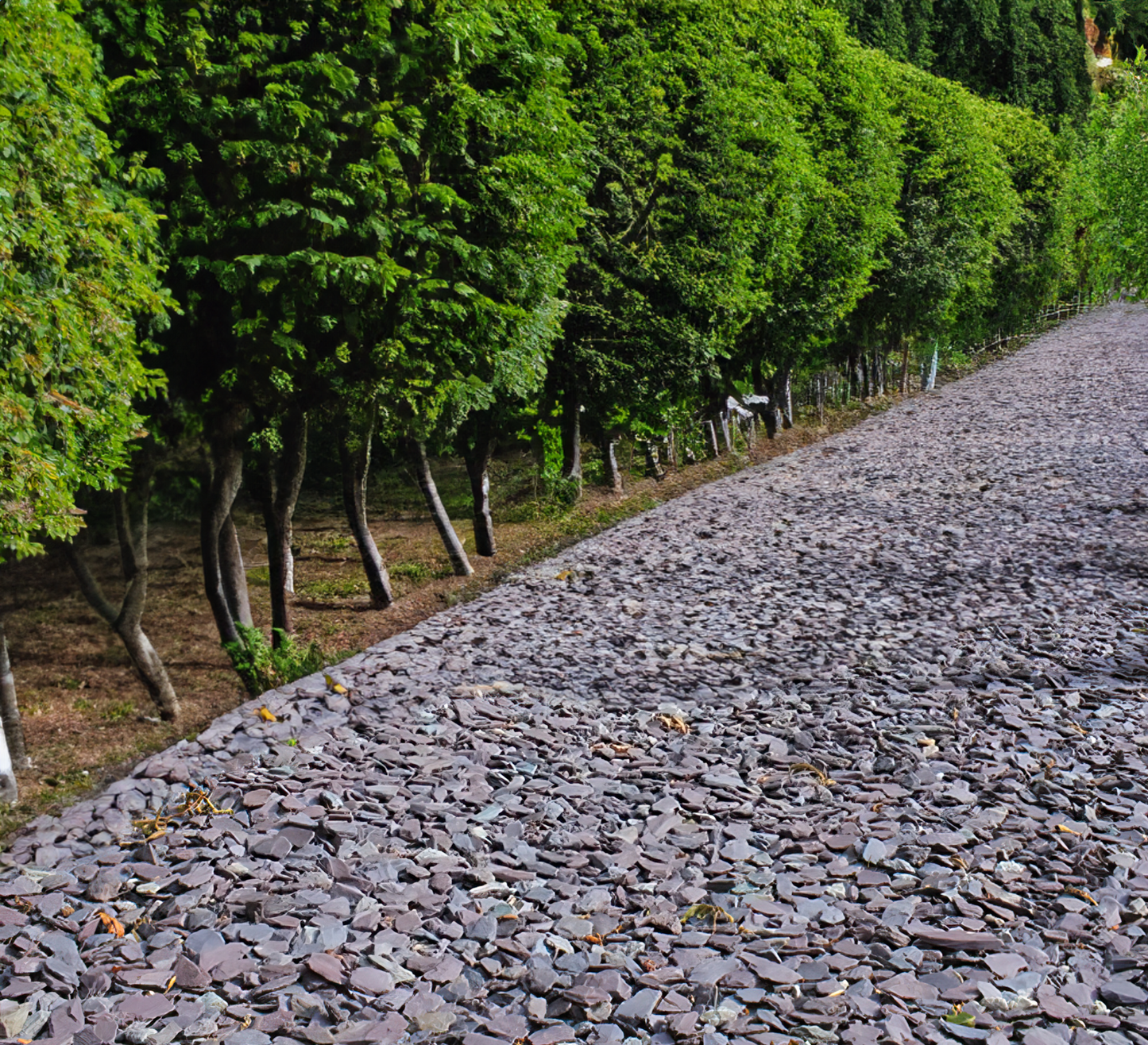 20mm Plum Slate Chippings