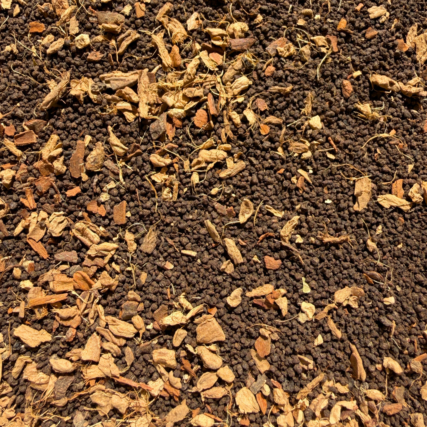 Decaf Masala Chai