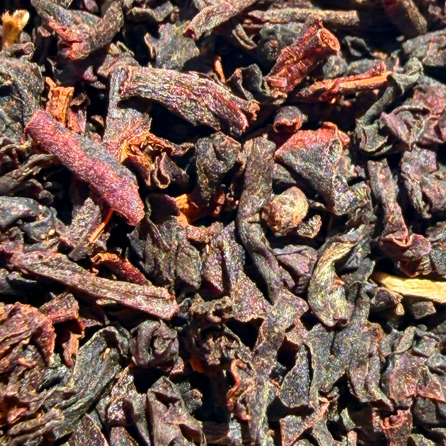 Nonsuch Nilgiri BOP