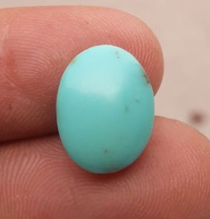 Natural Light Green Turquoise - Persian Qalmi Feroza - Green Feroza - 7ct- 14x11mm