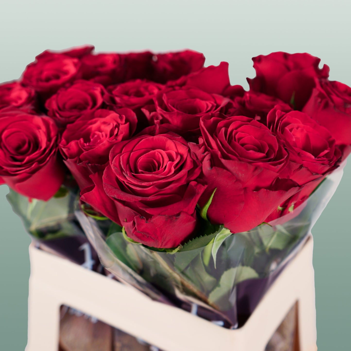 Rose Rhodos (20 Stems)