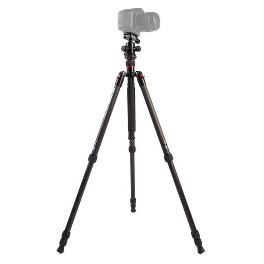 Triopo GT-2504X8.C Adjustable Portable Carbon Fiber Tripod with B-1 Aluminum Ball Head for Canon Nikon Sony DSLR Camera, GT-2504X8.C (Black), GT-2504X8.C (Gold)