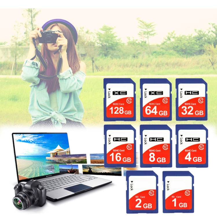 32GB Class 10 SDHC Memory Card