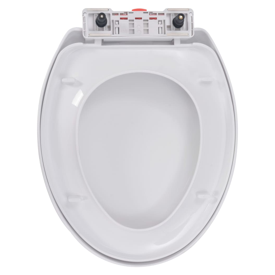 235304d2-f049-4cba-8553-d0c72daee9bb.png