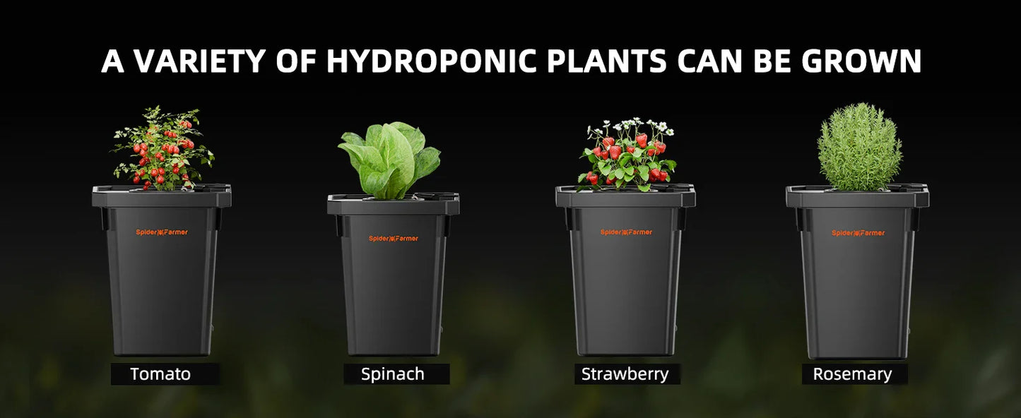 Spider Farmer 7-Gallon DWC Hydroponic System Grow Kits + Air Pump with 2 Buckets