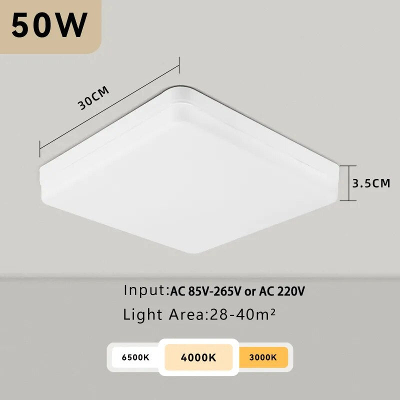 LED Ceiling Lamp