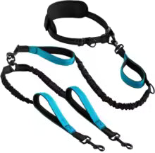 Explosive Double Dog Running Lead