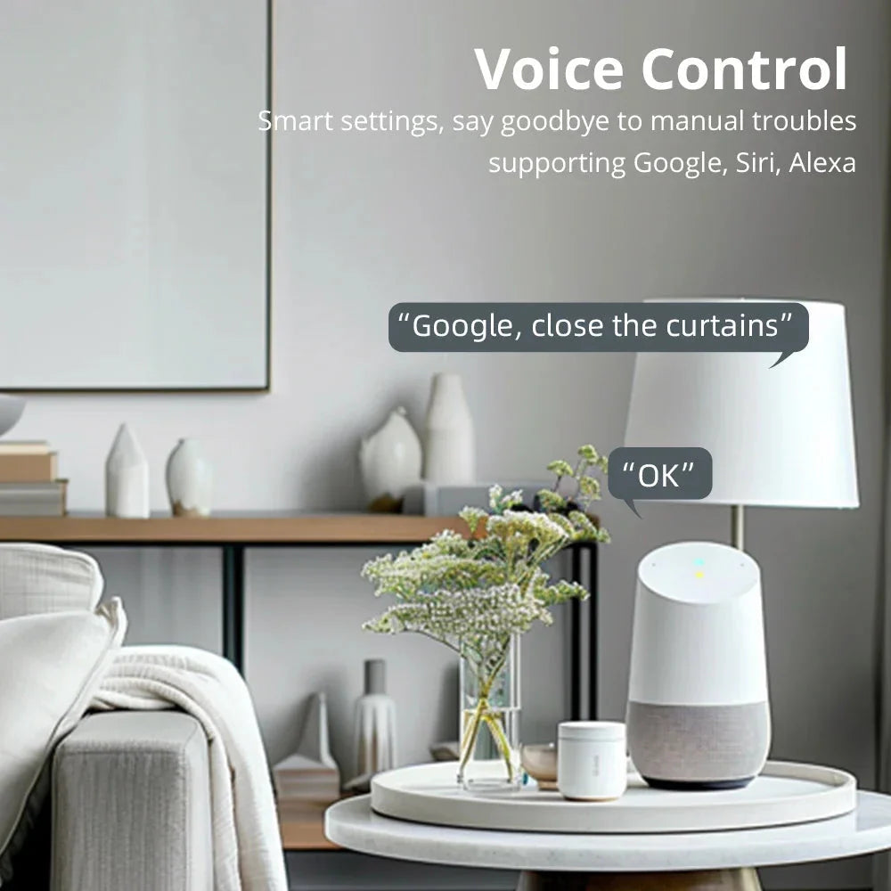 Smart Roller Shade Blinds Motor for 37 38mm Tube Alexa Google Home Smart things Home kit App Control