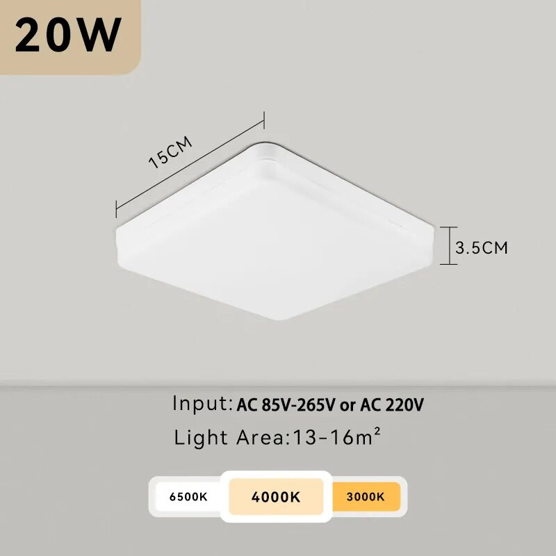 LED Ceiling Lamp