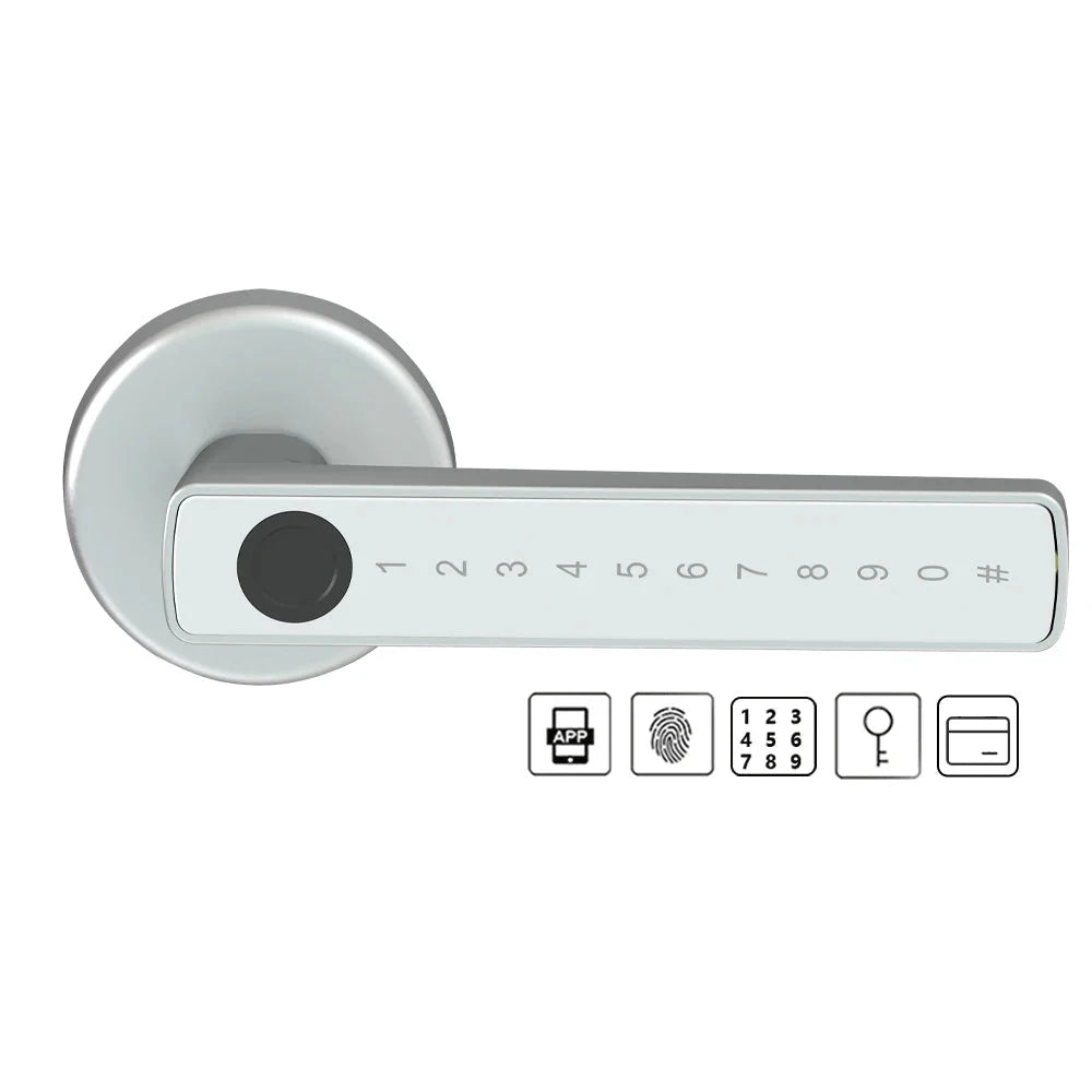 BLE Fingerprint Door Lock Digital Electronic Lock with Password/Key/IC Card/ Smart Life