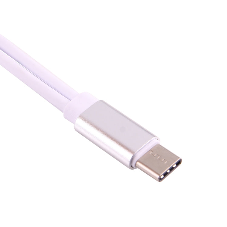 USB-C / Type-C Male to 3.5mm Female & Type-C Female Audio Adapter