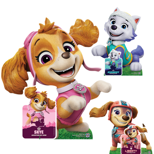SC4600 Skye, Liberty  and Everest  Paw Patrol   Multi Pack Bundle Cardboard Cut Outs Height 66cm