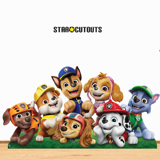SC4601 Paw Patrol Group Shot Wide Cardboard Cut Out Height 94cm Cardboard Cutouts for Birthday Parties | All Ages UK