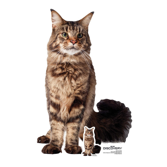 SC4710 Grudge Cat Cardboard Cut Out Height 64cm
