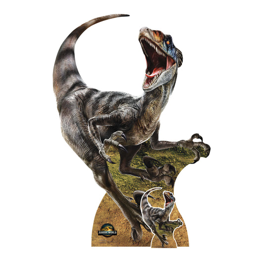 SC4859 Velociraptor Dinosaur Jurassic World Rebirth   Cardboard Cut Out Height 144cm
